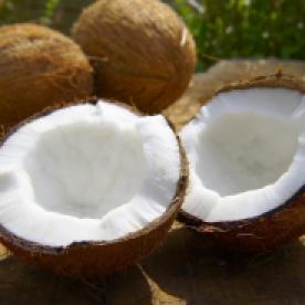 coconuts0607a